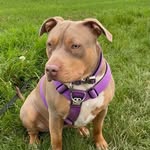 Simone Nash - @simonemarianne68 - Instagram