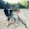 Simone porcu - @simoneporcu98 - TikTok