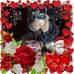 Simone Raymond - Facebook