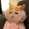 Simone.Raymond - @simoneraymondstkykua - TikTok