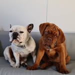 Simone&Raymond - @simoneandraymond - Instagram