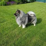 Schumi - @simone.schumacher.581 - Instagram