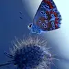 Simone Schumacher - @simone.schumacher - TikTok