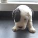 Simone Stein - Facebook