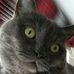 Simone Stein - Facebook