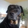 Simone Stein - @simone.stein37 - TikTok