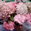 Simone Weber - @simone.weber89 - TikTok