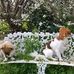 Simone Fletcher-Wells - Facebook