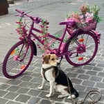 Simone Weltersbach - @simone_weltersbach - Instagram