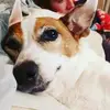 Simone Williamson - @simone.williamson6 - TikTok