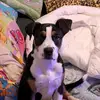 simone Williamson - @simone.williamson69 - TikTok