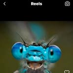 Simone Woods - Facebook