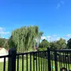 simonewoods - @user12344679085378 - TikTok