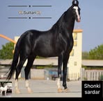 Simran Bhullar - Facebook