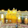 Simrat Dhillon - @simrat.dhillon0 - TikTok