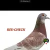 RK Sinhan - @rk.sinhan1 - TikTok