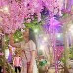 Sin Han - Facebook