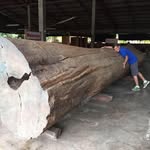 Chen Sinleung - @sinleungchen - Instagram