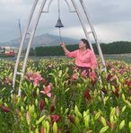 Sina Heng - Facebook