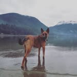 Graydon Sinclair - @graydonsinclair - Instagram