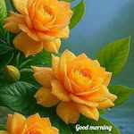 Sindhu Radhakrishnan - @sindhuradhakrishnan7 - Instagram