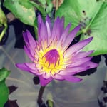Sindhu Radhakrishnan - @sindhukrishnan2022 - Instagram