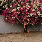 Sindy Suarez - @sindy8766 - Instagram