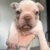 Sindy Williams - @sindy.williams256 - TikTok