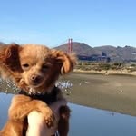 Sing Siu - @singsiu1120 - Instagram