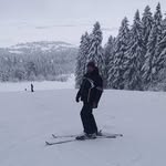 Siniša Vukovic - @sina_vukovic - Instagram