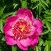 Sandy Taylor - Facebook