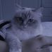 Siobhan Burns - Facebook