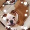 siobhancarrollaba - @siobhancarrollaba - TikTok