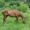 Siobhan Greene - @siobhan.greene3 - TikTok