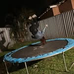 Siobhan Harrison - @siobhan.harrison_ - Instagram