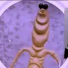 imogen_siobhan_hunter - @imogen_siobhan_hunter - TikTok