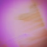 siobhan hunter - @g.r.a.c.i.e_r.o.x.y - Instagram