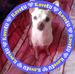 Siobhanjohnson - Facebook
