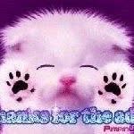 Siobhan Johnston - @siobhan.johnstonjellybean69 - Instagram