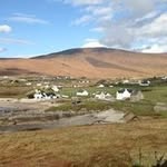 Siobhan Johnston - @siobhanjohnston57 - Instagram