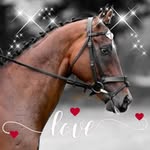 Siobhan Hanlon Lambert - @siobhan.lambert - Instagram