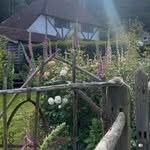 Siobhan Roberts - @fittleworthhomedesign - Instagram