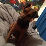 Sion Edwards - @sionedwards1234 - Instagram