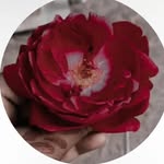 Sion king - @sion99978 - Instagram