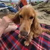 sioned williams - @sioned.williams - TikTok