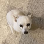 Sarah Erickson - Facebook