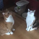 Harrison and Sissy - @harrisonandsissy - Instagram