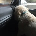 Sissy Jones - @sissythedoodle - Instagram