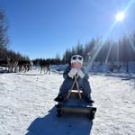 Siu Hung - @siuhung130 - Instagram
