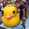 Siu Hung - @2177816796 - TikTok